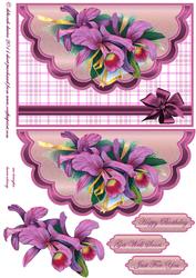 Mauve Orchids Envelope Cardfront