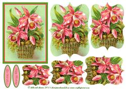 Orchid Basket
