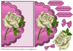 Creme on Pink