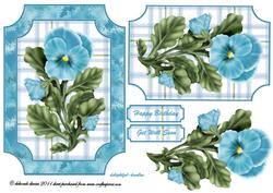 Pretty Aqua Pansy