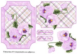 Pretty Lilac Pansy