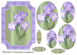 Lilac Glory Pyramids