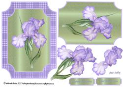 Lilac Glory