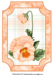 Pretty Apricot Pansy Topper