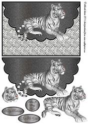 Just a Pussycat Envelope Cardfront
