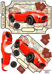 Cobra Sports Quick Card