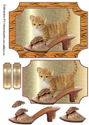 Pussyfoot Quick Card