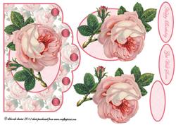 Single Pink