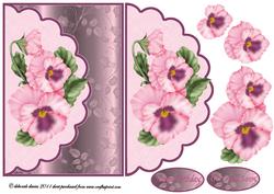 Prety Pink Pansy