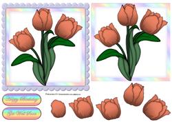 Peach Floral Scallop Edge
