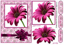 Cerise Beauty