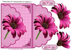 Cerise Beauty Envelope Card