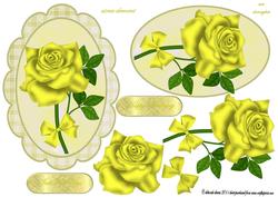 Yellow Rose