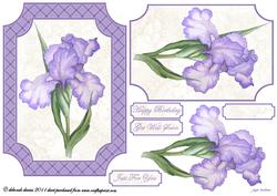 Lilac Floral Beauty