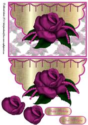 Pearly Pink Rose