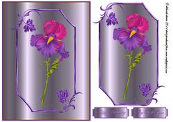 Pretty Iris