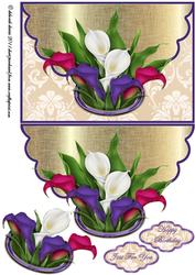 Colourful Lillies