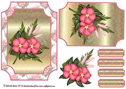 Pink Hibiscus