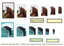 Horses and Dolphins Pyramid