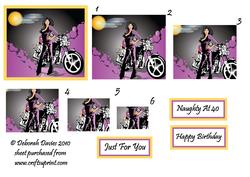 Rock Chick with Bike