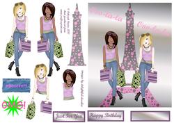 Shopping Mad in Paris Step by Step