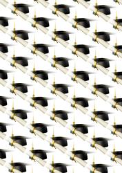 Graduation Backing