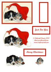 Cute Christmas Pets