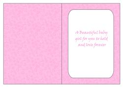 Pink New Baby Insert
