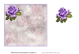 Lovely Lilacs - Insert