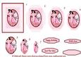 Elegant Lady in Pink 4