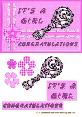 Baby Girl Rattle
