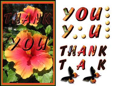 Hibiscus Thankyou