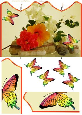 Floral with Floating Butterfly
