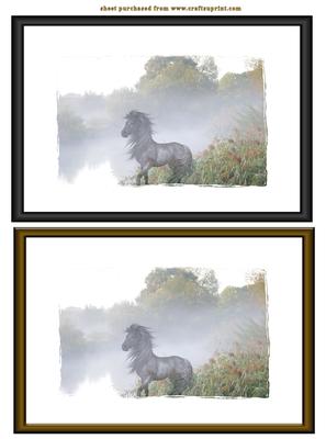 Horse in the Mist