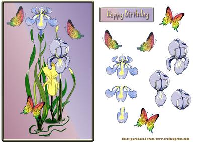 Hand Painted Irises and Butterflies