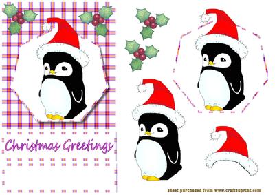 Baby Penquin