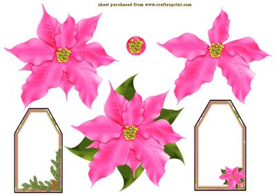 Poinsettia Flower and Tags