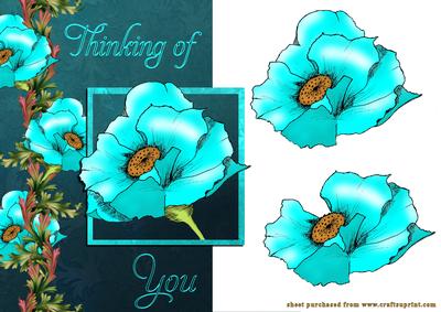 Blue Poppy