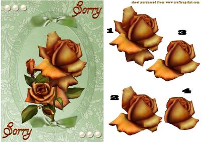 Roses to Apologise