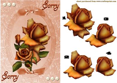 Sorry with Roses 1