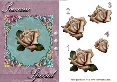 Flourish Framed Rose