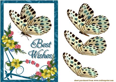 Butterfly Wishes