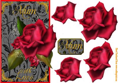 A Perfect Rose for Mum