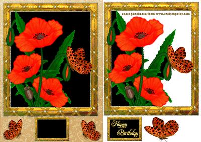 Framed Poppies