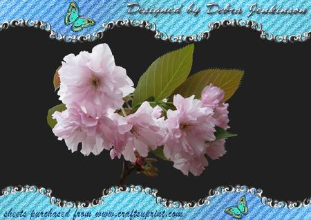 Pink Blossom