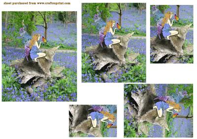 Bluebell Fairy
