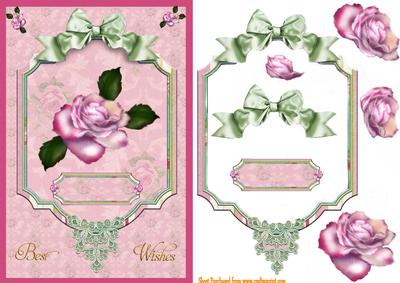 Pink Roses for You