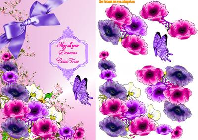 Butterfly Morning