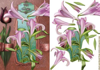 Lily and Tulips