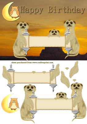 Meerkat Birthday